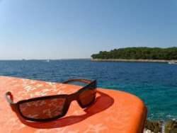 Gafas de sol